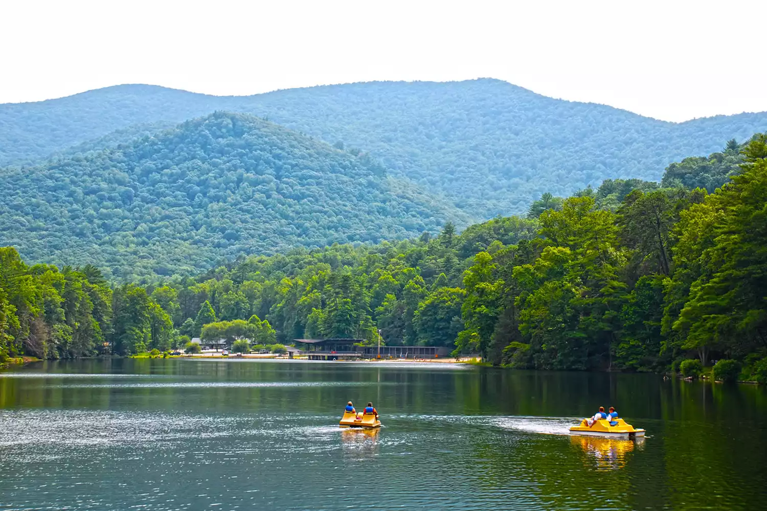 Groups paddleboarding around Vogel State Park