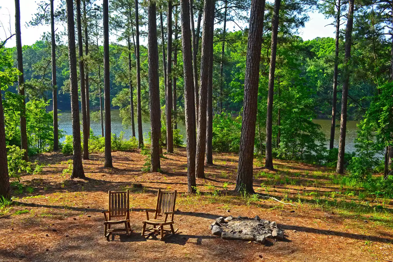 Two chairs by a fire pit in the woods by a lake in Mistletoe state Park