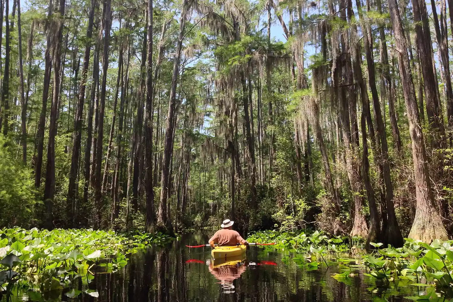 A man kayaking through Stephen C Foster state park