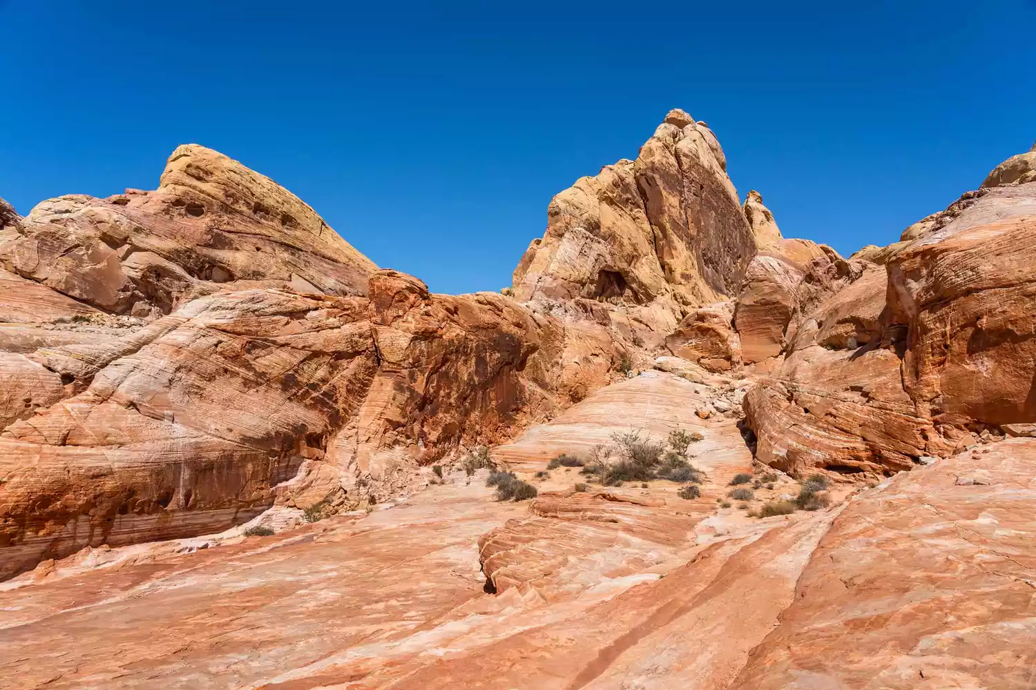 Red Rock Canyon National Conservation Area in Nevada