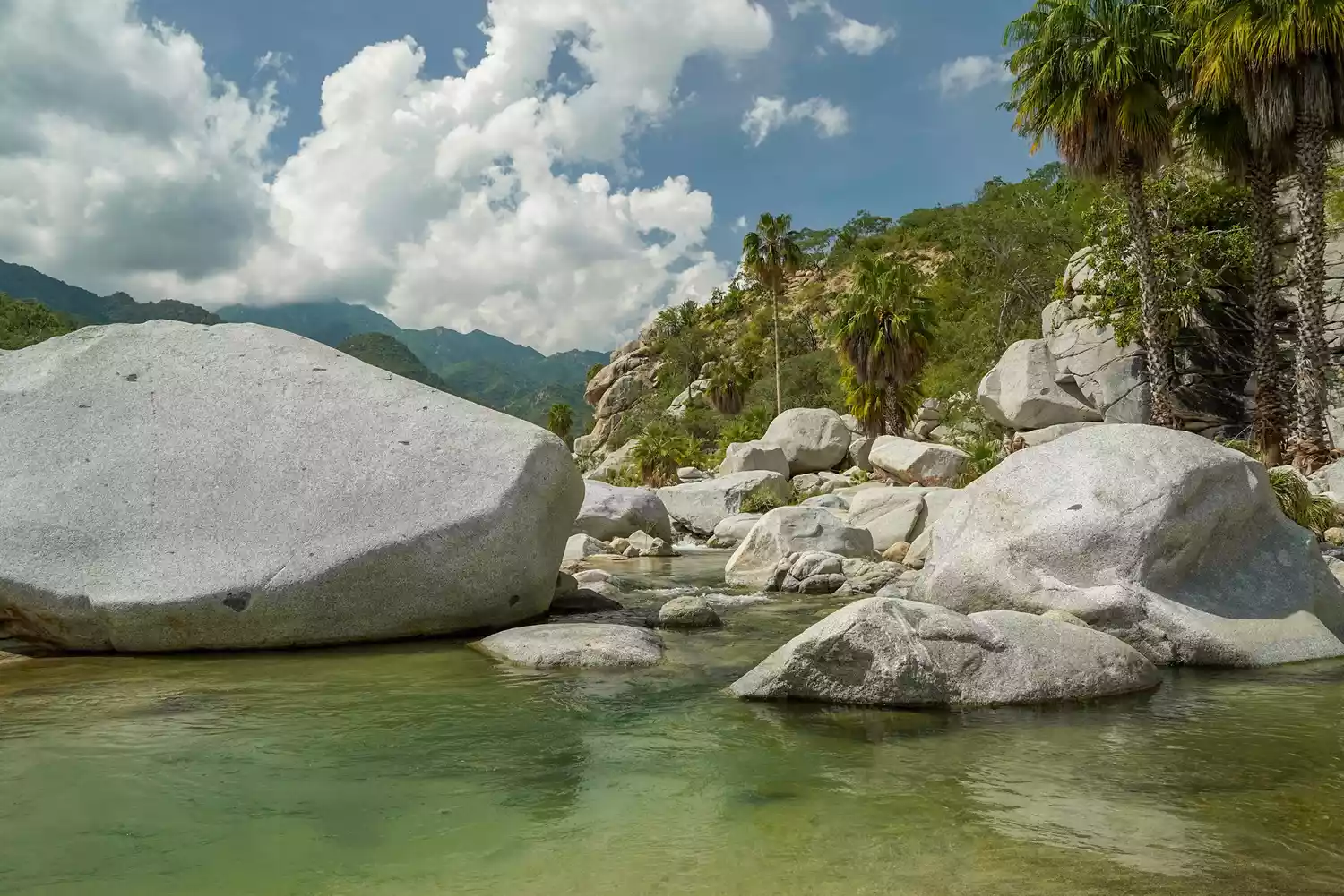 River creek white stones in san dionisio in sierra de la laguna baja california sur mexico