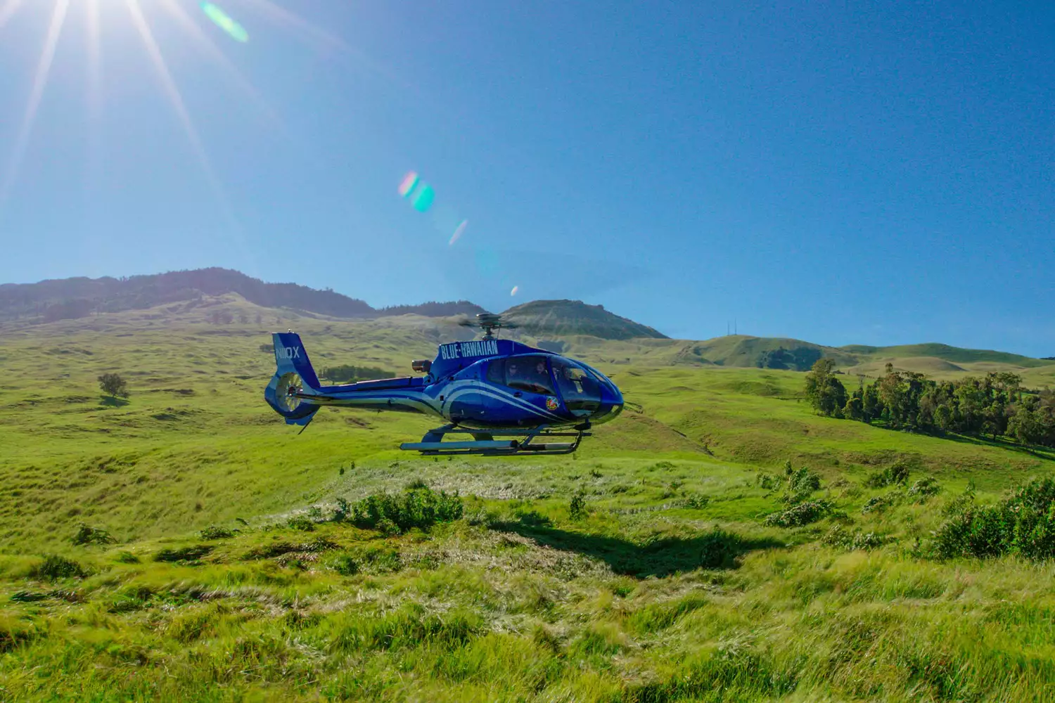 Un hélicoptère Blue Hawaiian atterrissant sur une zone verte à Maui