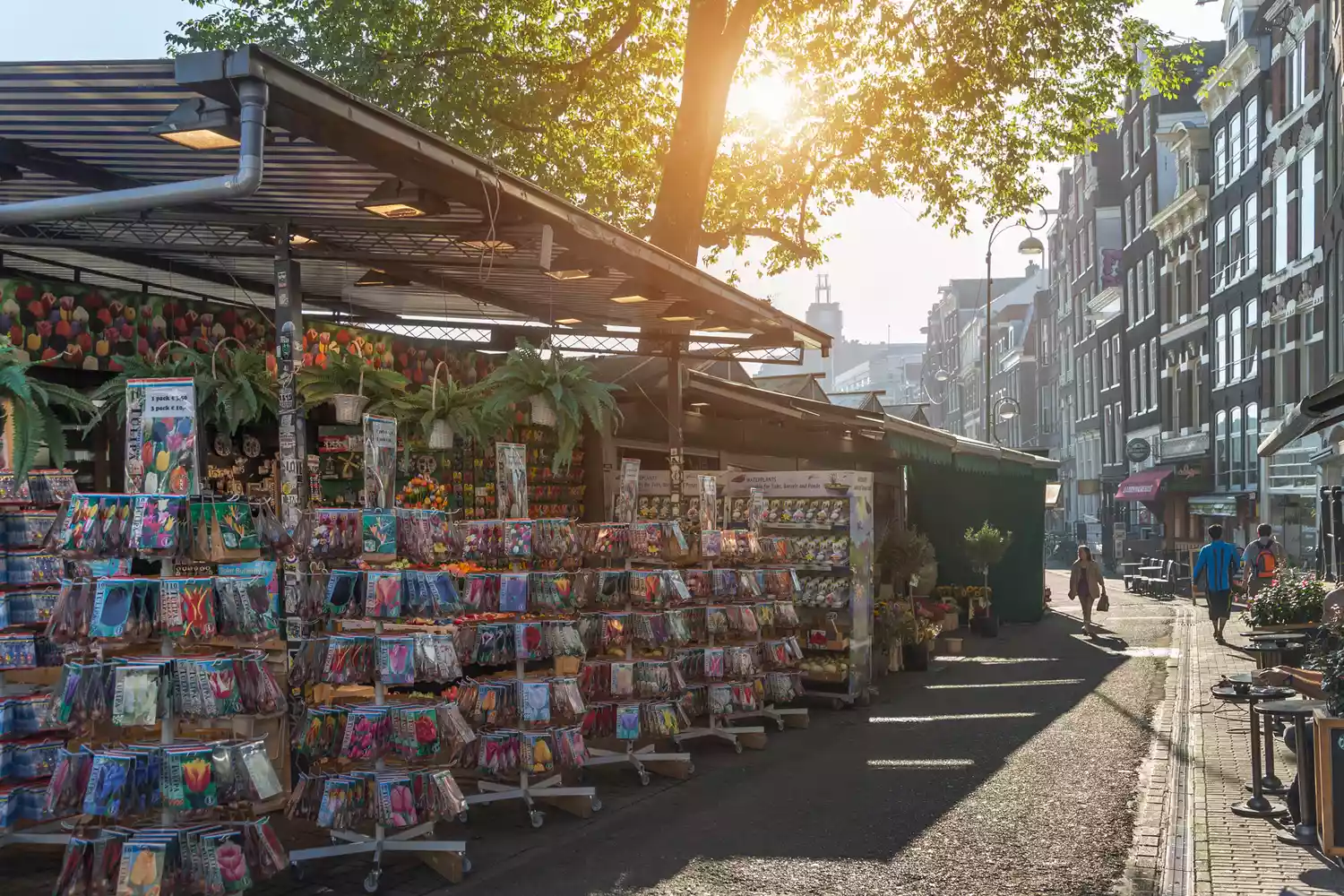 Marché aux fleurs et bulbes de tulipes à Amsterdam