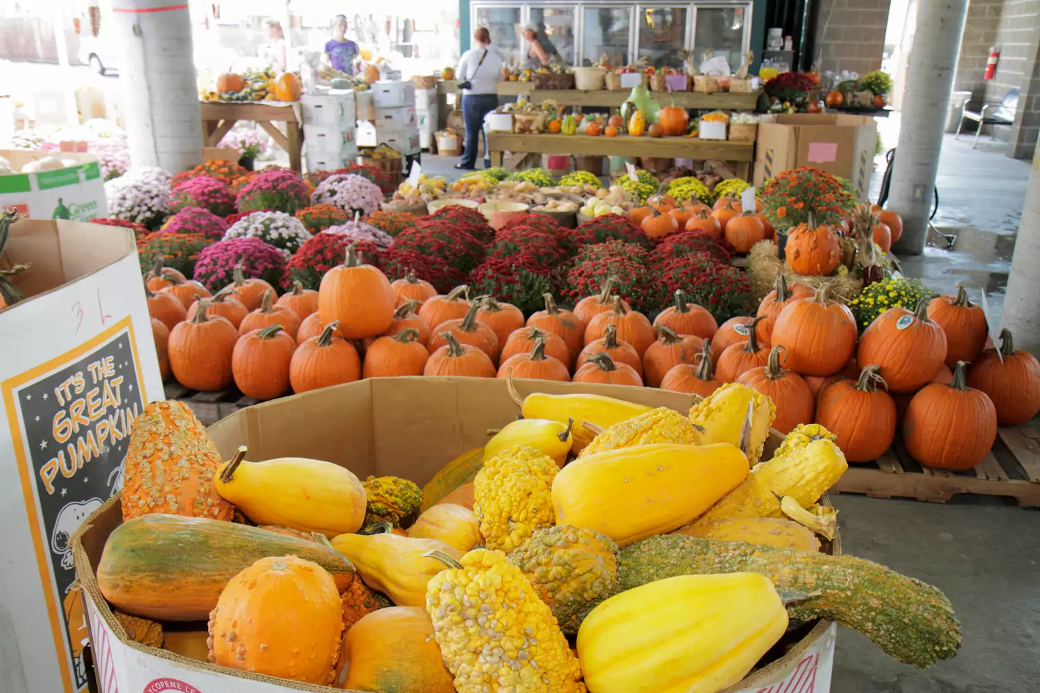 Un étal de légumes cultivés localement au marché fermier de Nashville