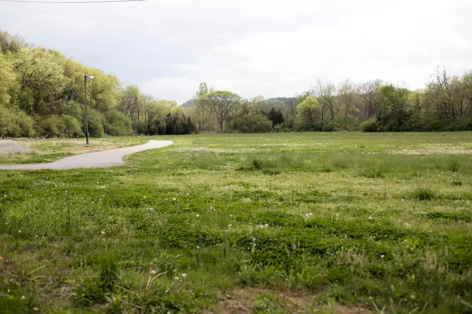 Greenway Park in Nashville