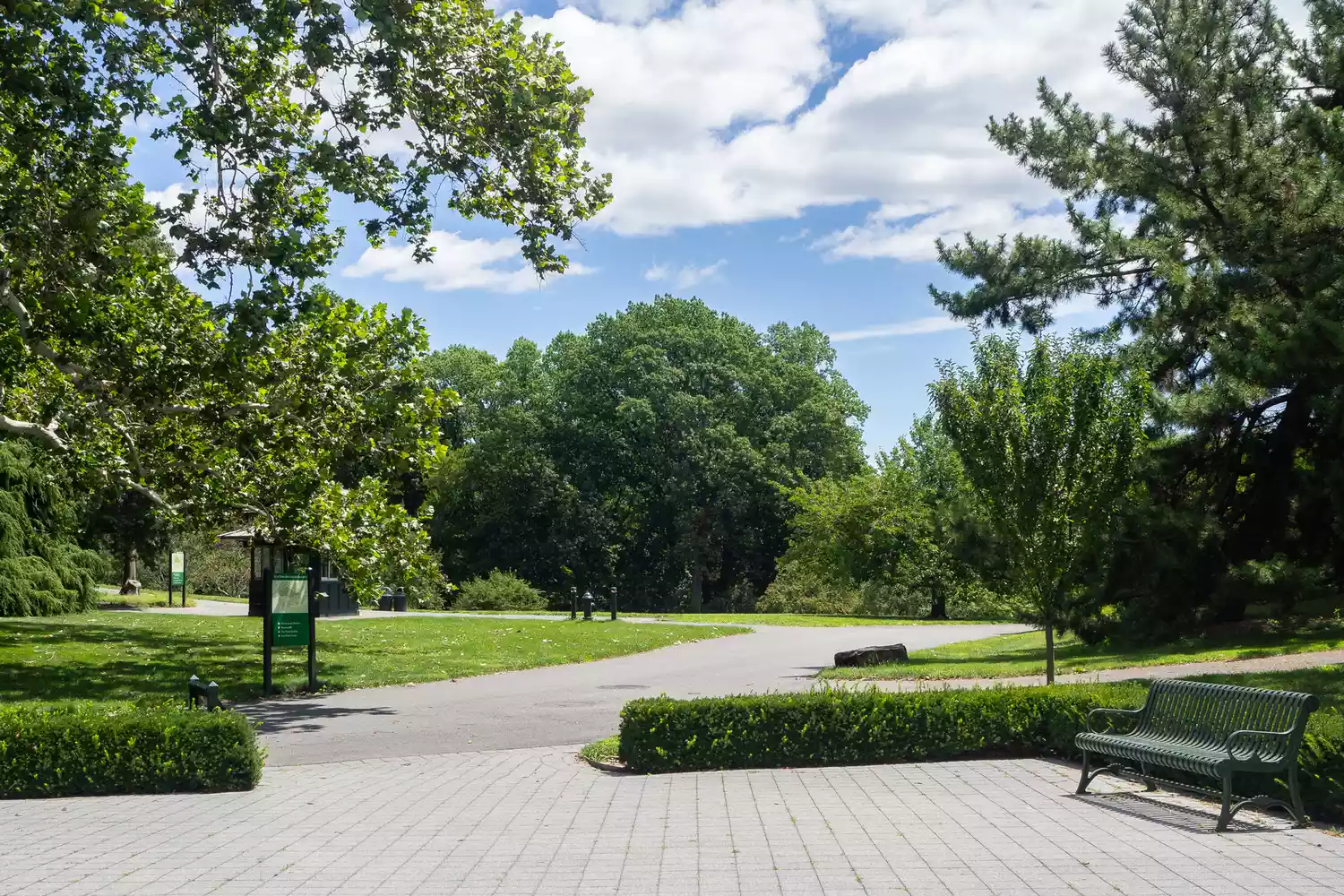 Green trees in New York Botanical Garden