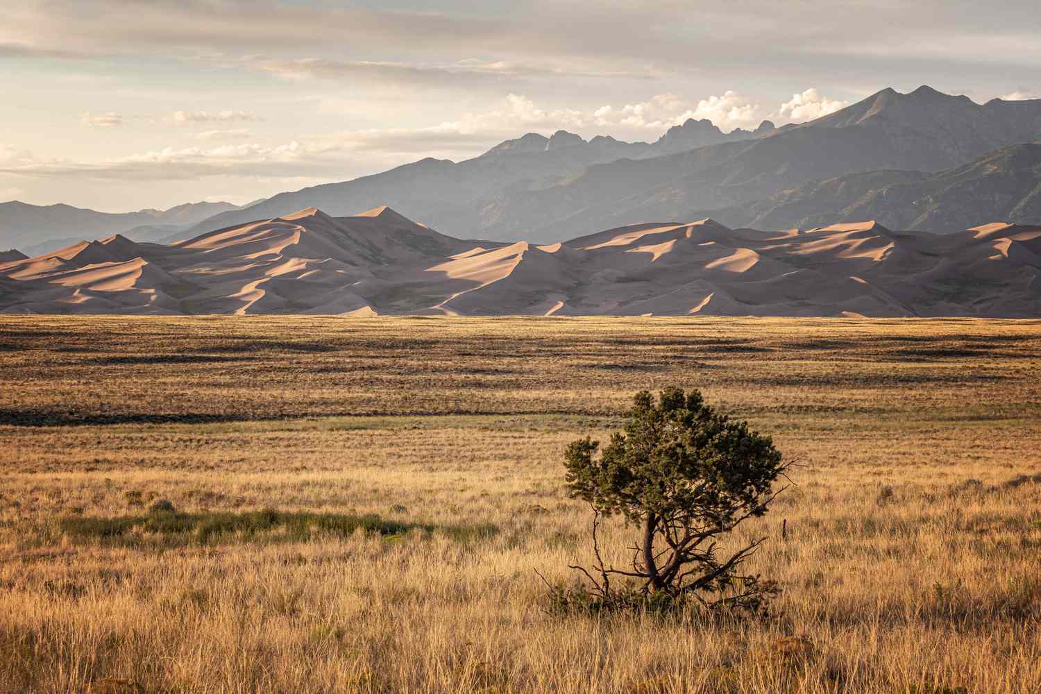 Découvrez le Parc des Grandes Dunes du Colorado, un joyau caché