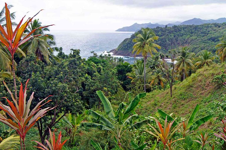 Dominica, l'île nature des Caraïbes: Luxe et culture créole