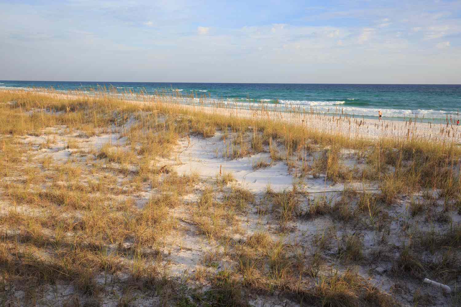 Plage du parc d'État de Henderson