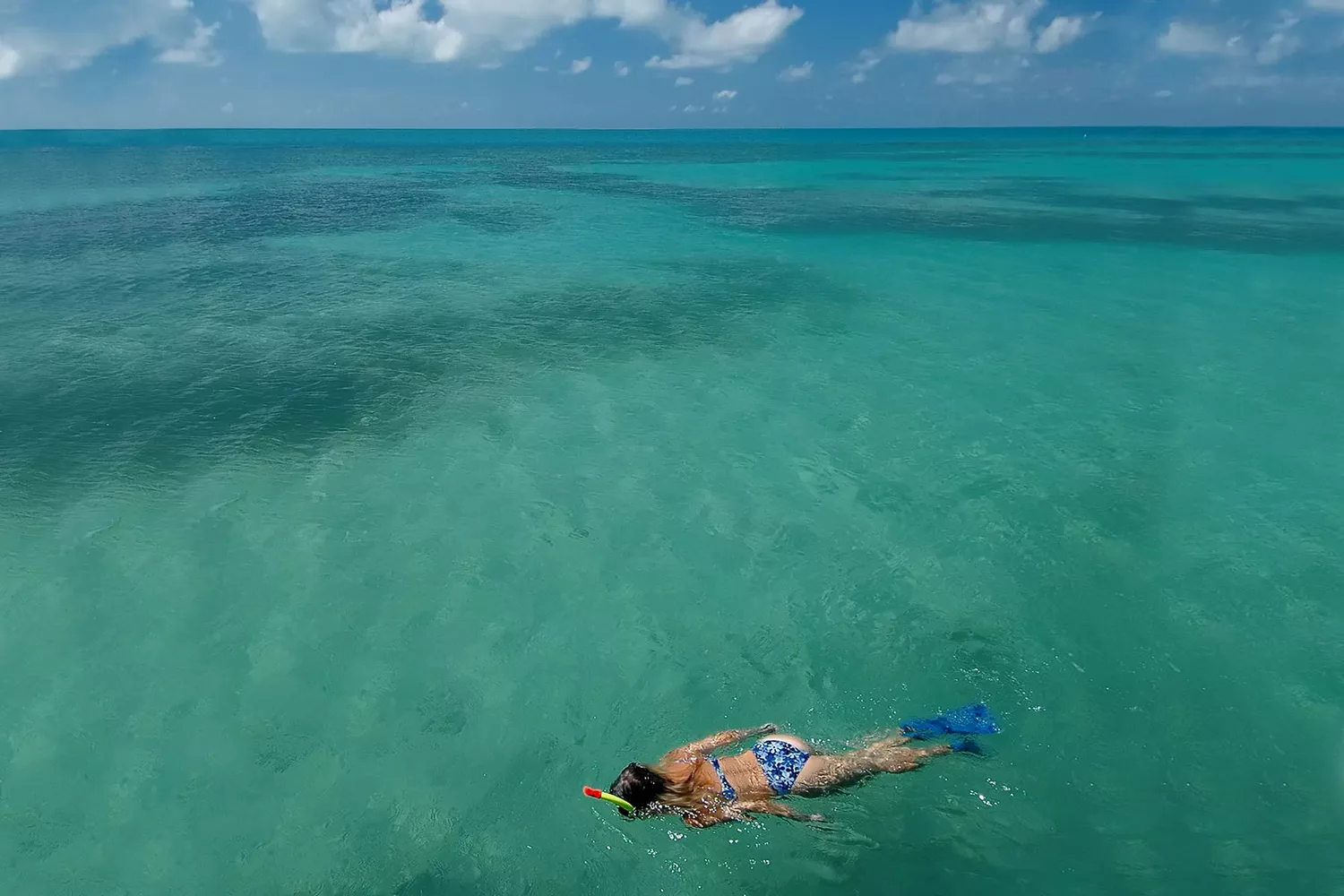 Plongée en apnée dans les eaux tropicales de l'océan des Dry Tortugas