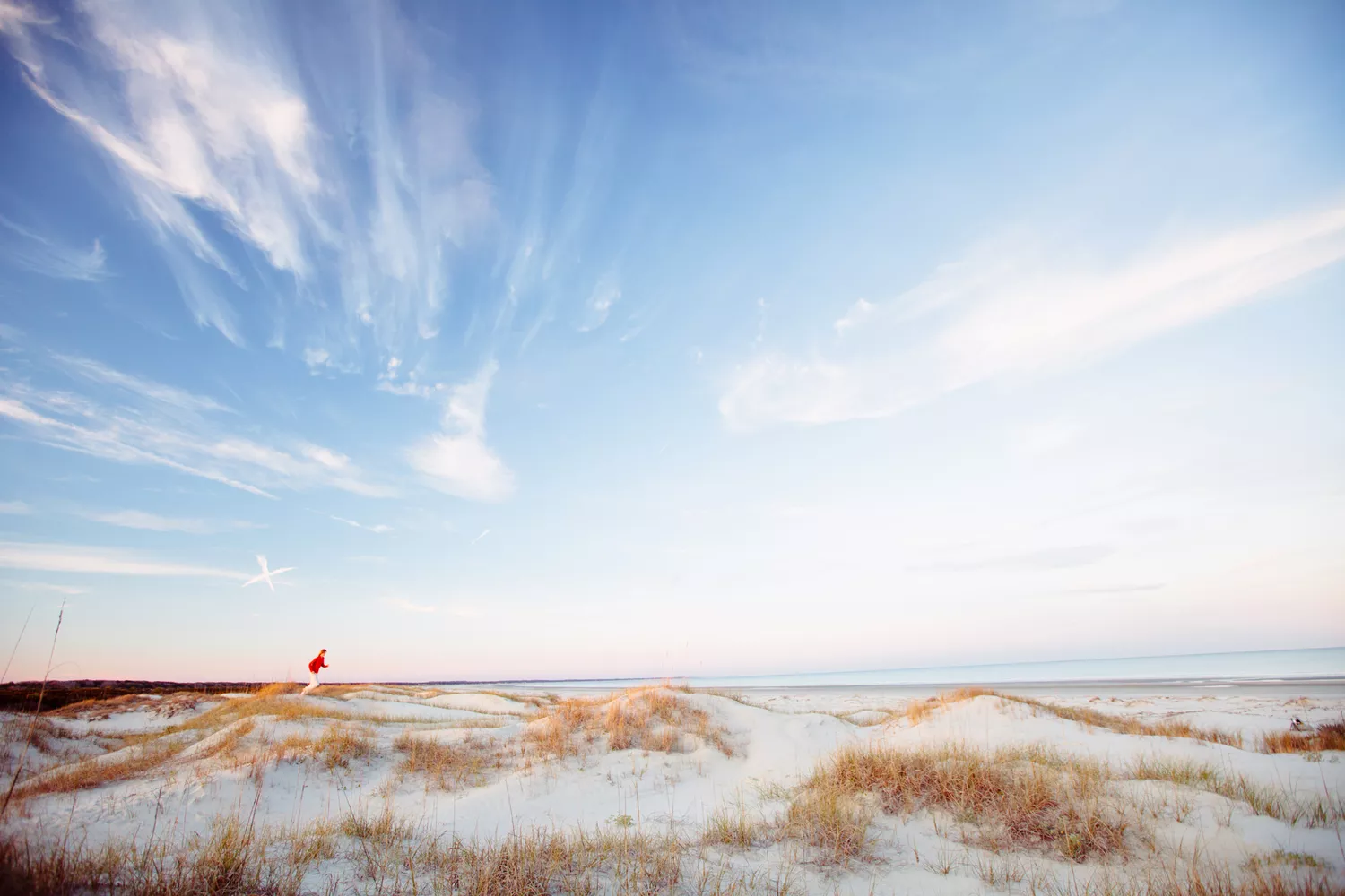 "Young healthy man running on white sand beach of Cumberland Island, GA."