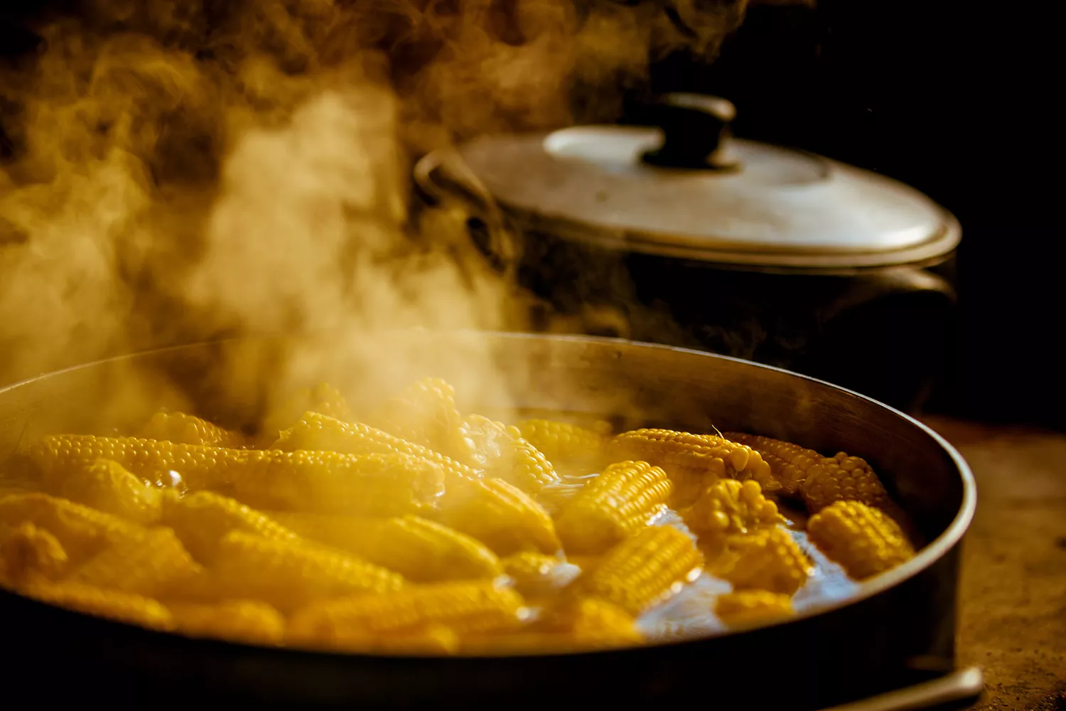 A large pot of corn boiling at Regina's Farm