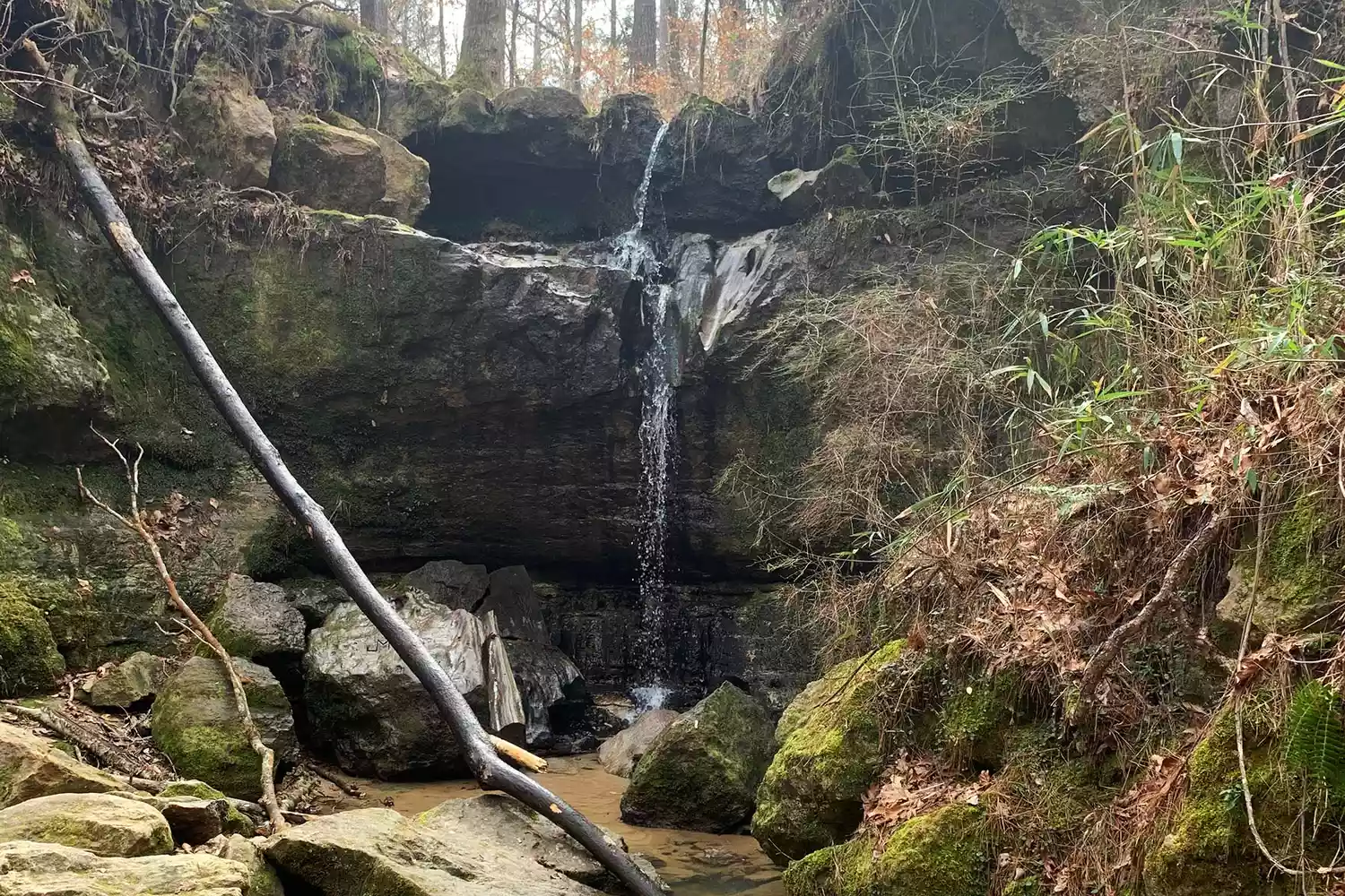 Chutes de Rock, Louisiane