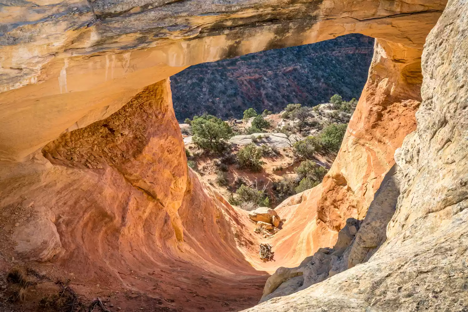 Arche naturelle en grès dans Rattlesnake Canyon