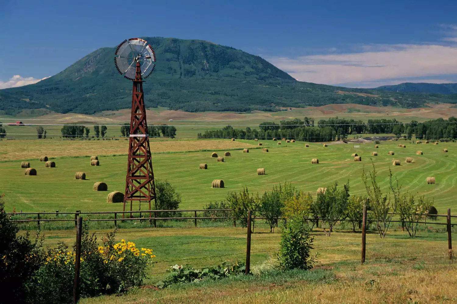 Windmill and haystacks on farm, Steamboat Springs, Colorado