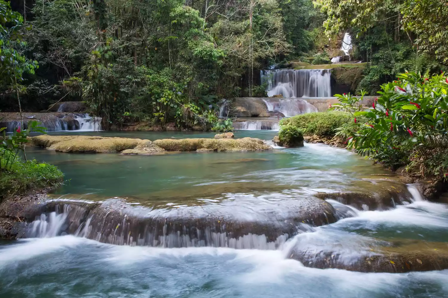 Magnifiques cascades sur l'île tropicale de la Jamaïque