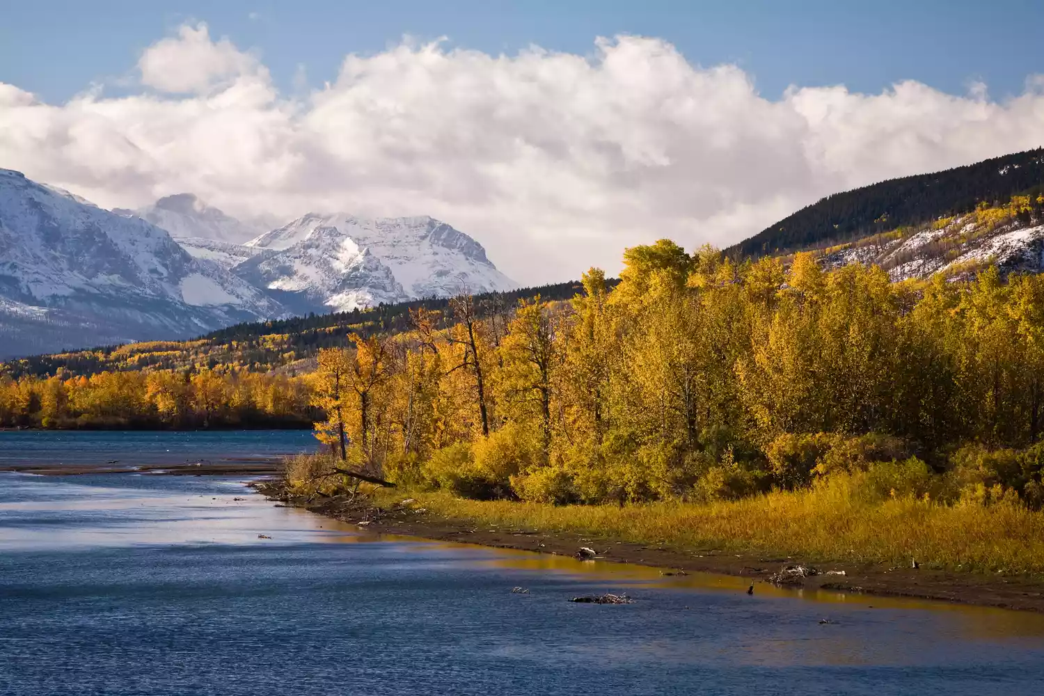 Feuillage d'automne dans le parc national des Glacier