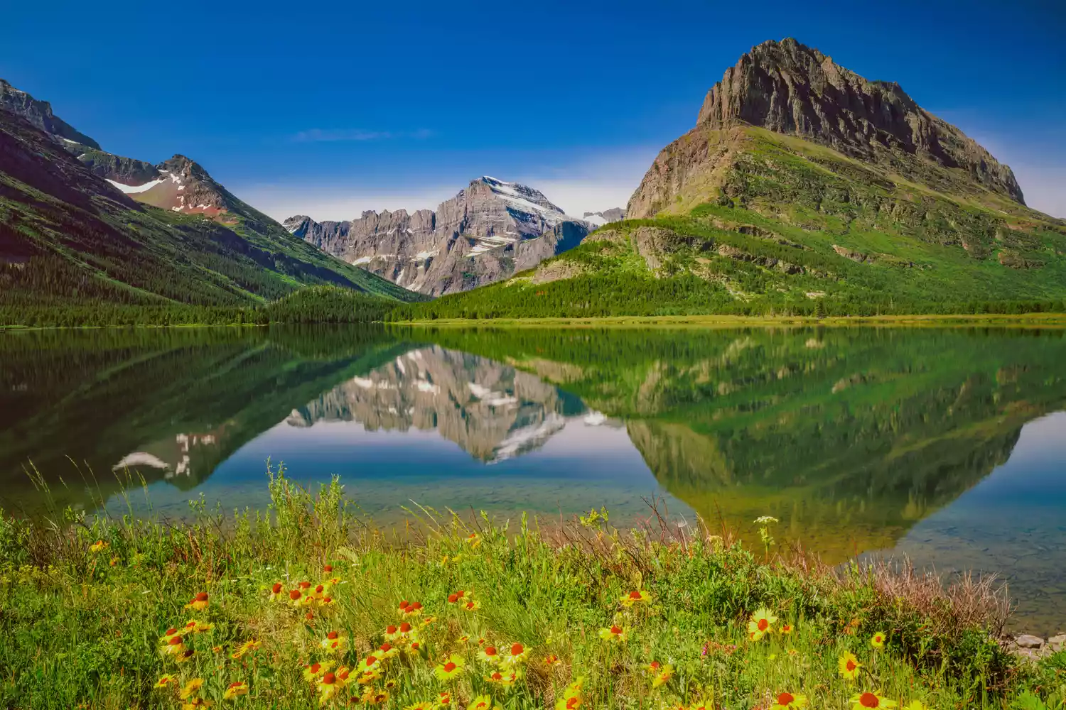 Le printemps dans la vallée de Swiftcurrent, parc national des Glacier