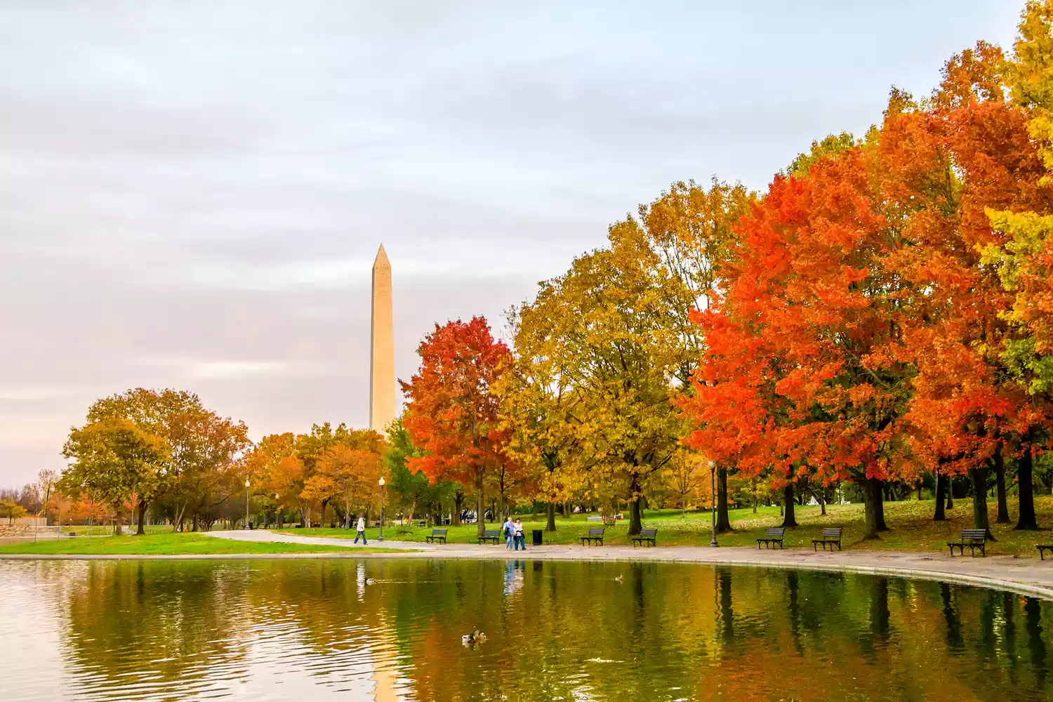 Les couleurs d'automne illuminent le rivage d'un étang, les reflétant ainsi que le Washington Monument à Washington D.C.