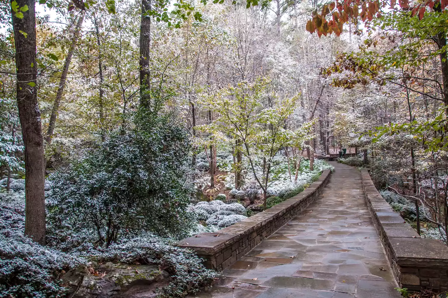 Garvan Woodland Gardens in Arkansas during winter