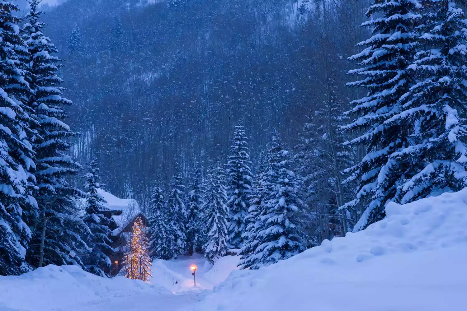 Snowy Street in Winter with Christmas Lights