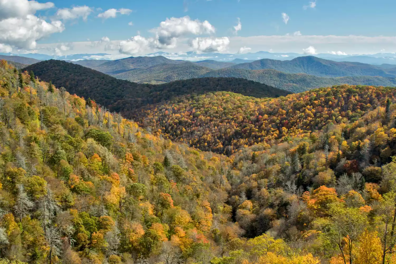 Grassy Ridge Overlook, Pisgah National Forest