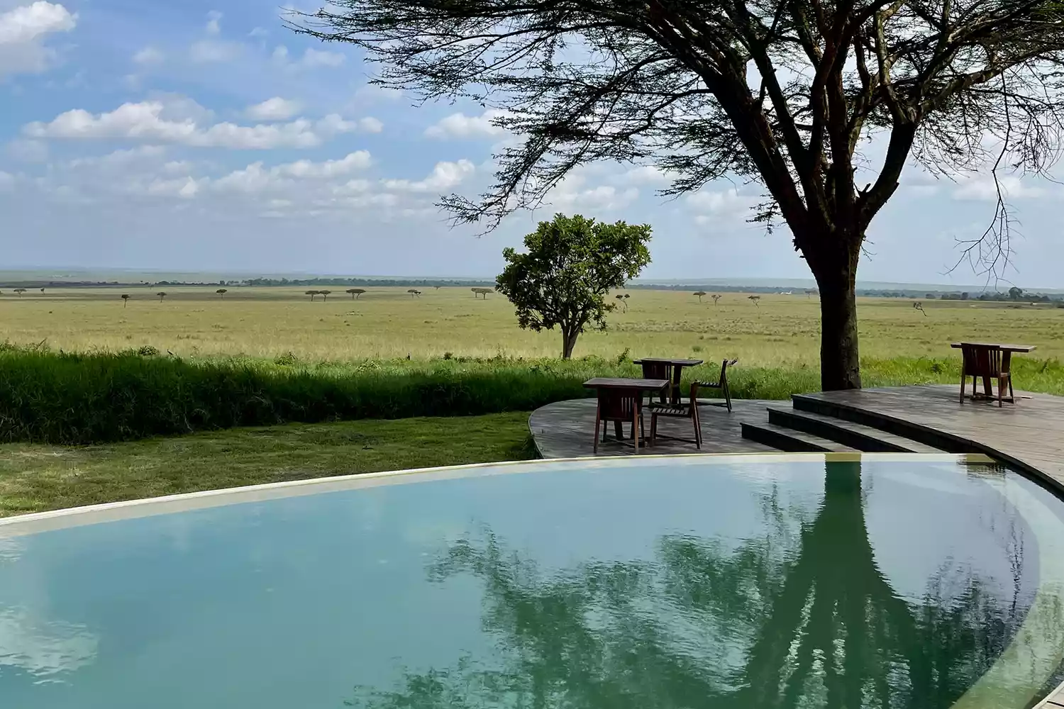 La piscine du camp andBeyond Bateleur