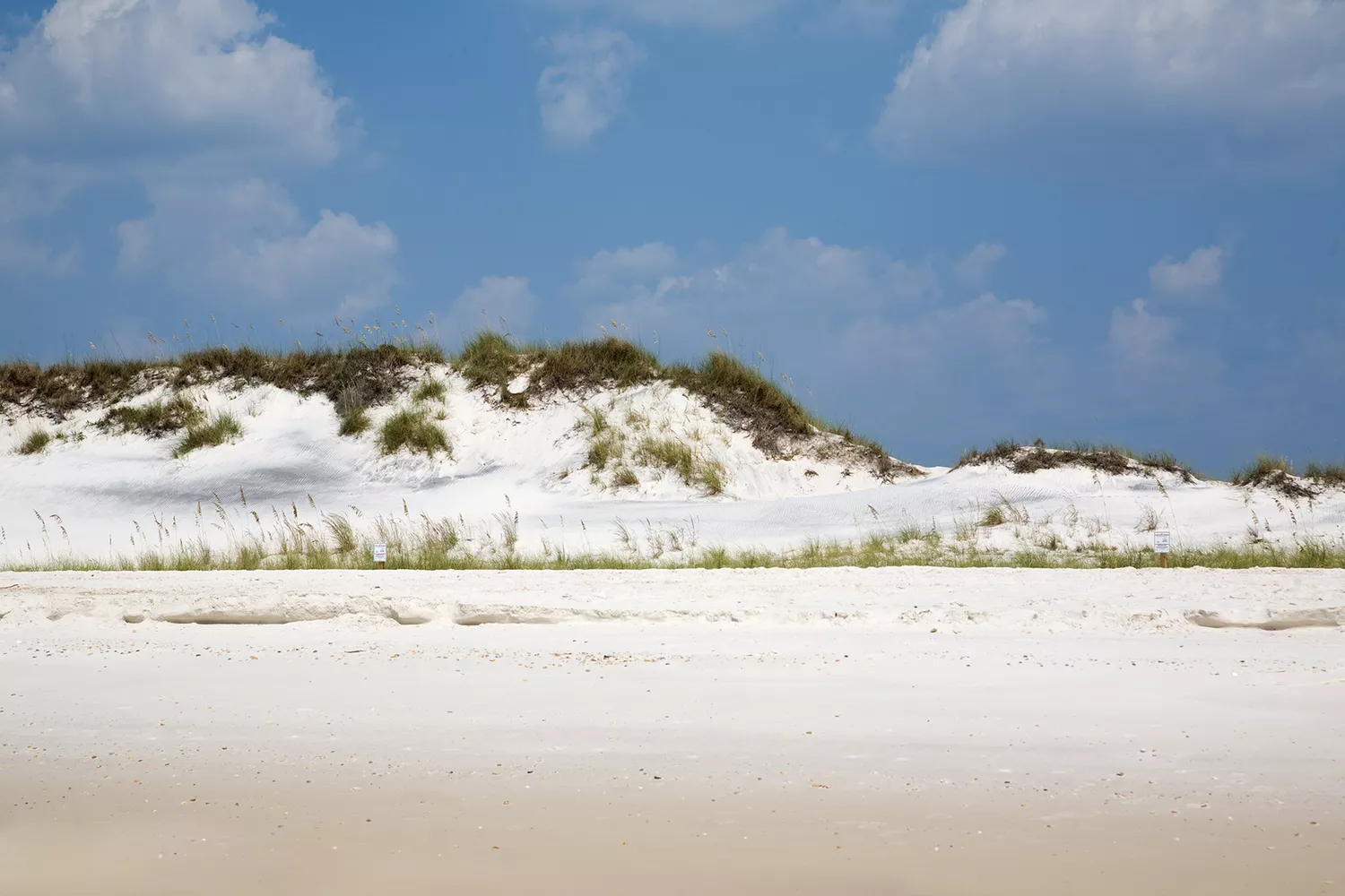 Sand Dune on a white sand beach in Cape San Blas, Florida