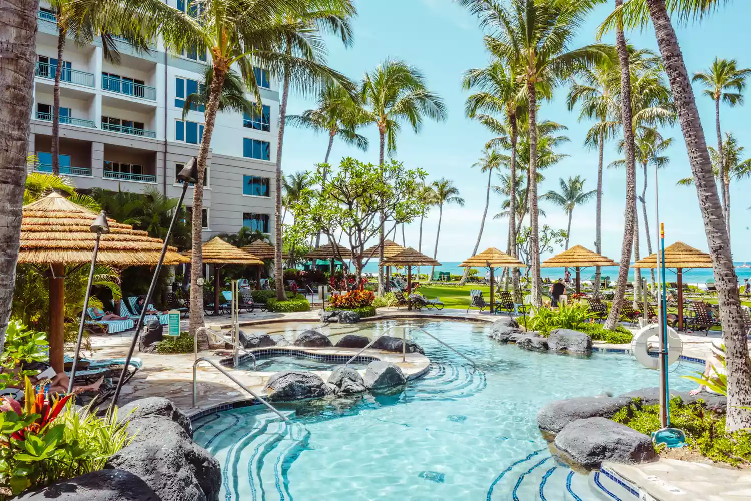 Pool surrounded by Palm Trees at a Hilton Maui Resort