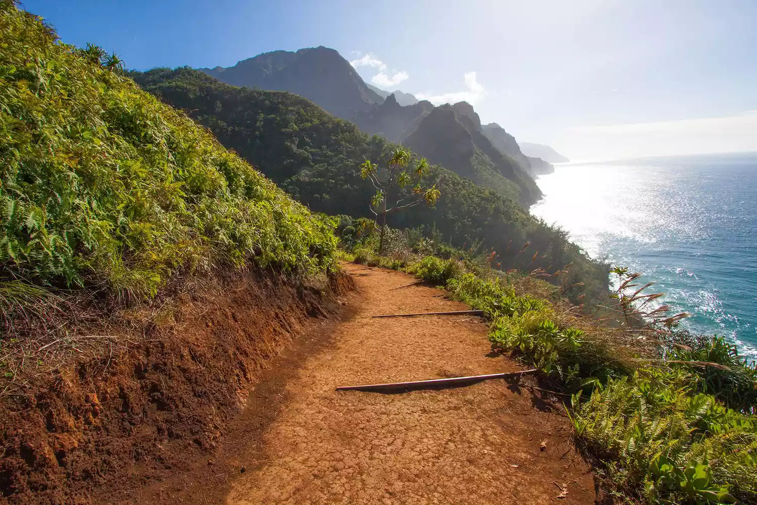 Un sentier de randonnée dans le parc d'État de Na Pali sur l'île de Kauai