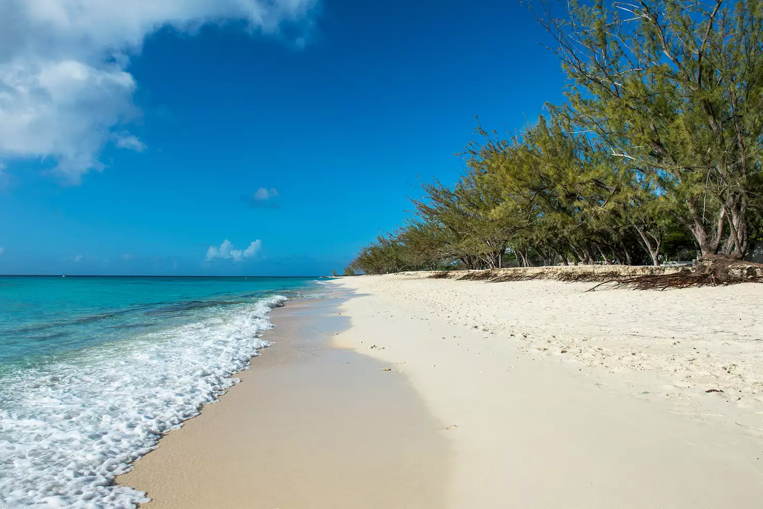 Plage de Norman Saunders, Grand Turk, Turks et Caïcos.