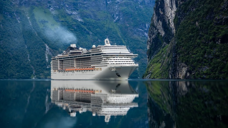 Croisière sur un fjord en Norvège