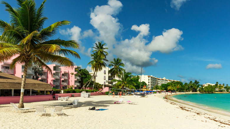 Dover Beach at Christ Church