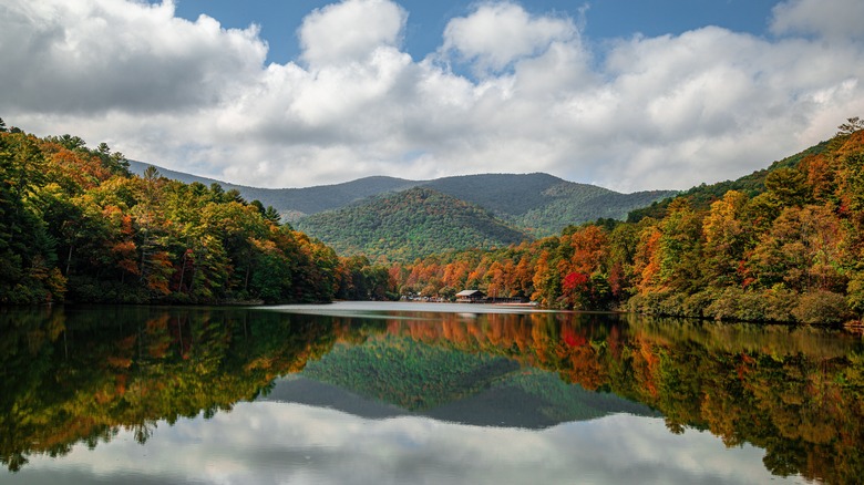 Vogel State Park 