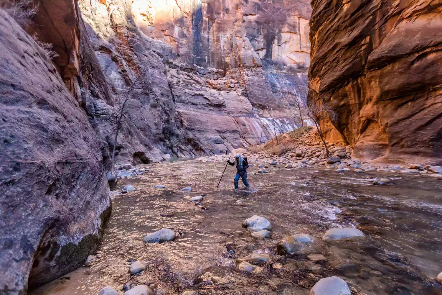 Une femme traversant The Narrows de la rivière Virgin dans le parc national de Zion