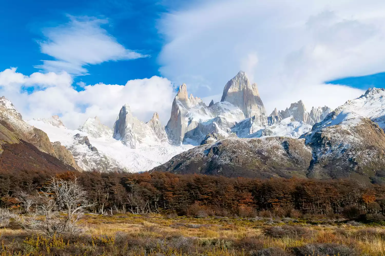 Vue imprenable du Mont Fitz Roy en Argentine