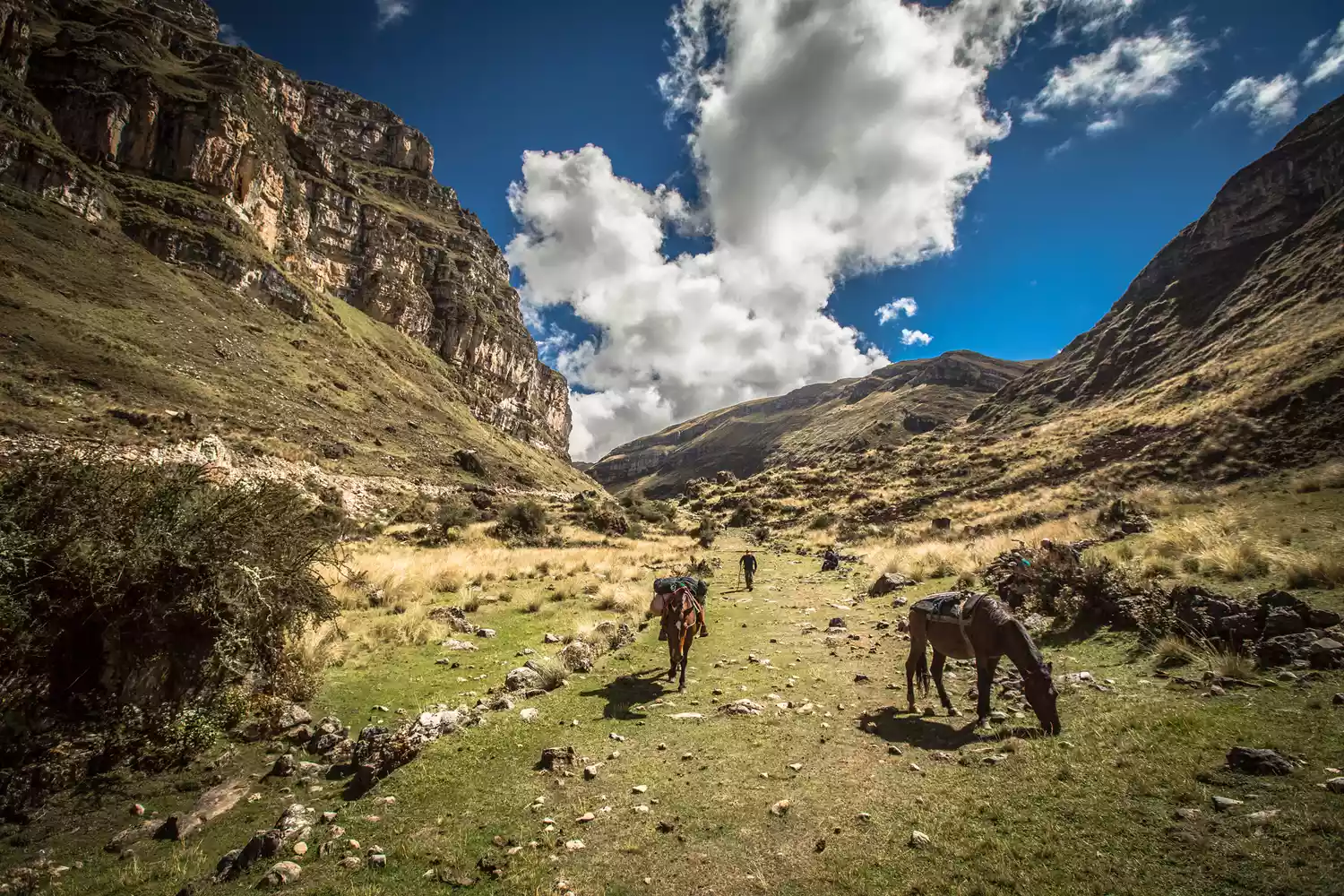 Paysages du centre du Pérou, Le grand sentier inca