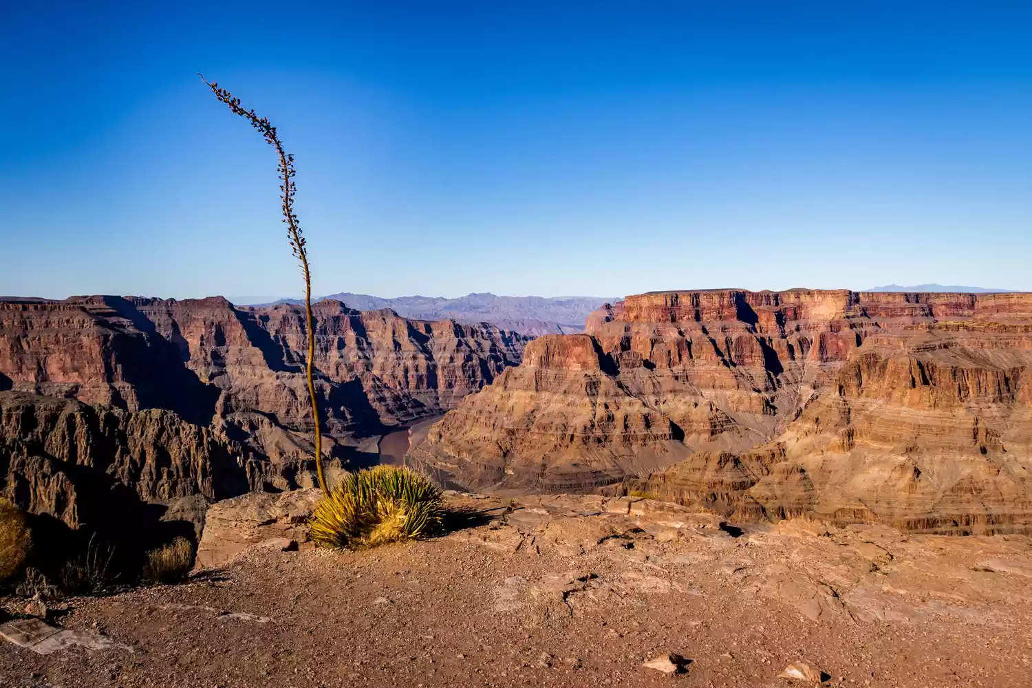 Vue du Grand Canyon depuis le West Rim