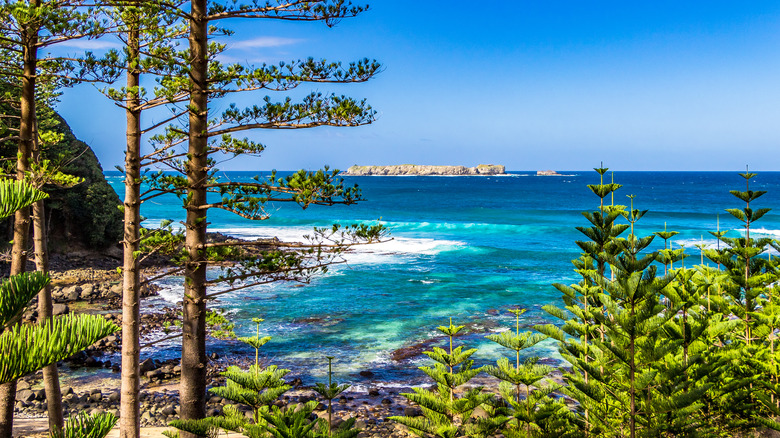 Coastal view from Bumboras Bay