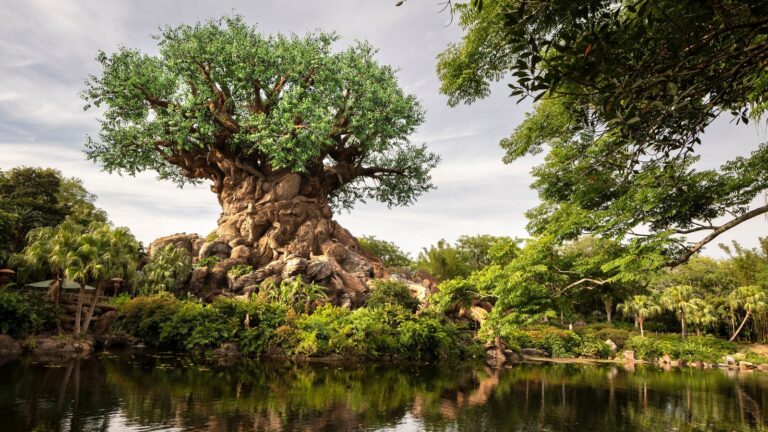 Le Mystère des Toilettes Uniques d'Animal Kingdom