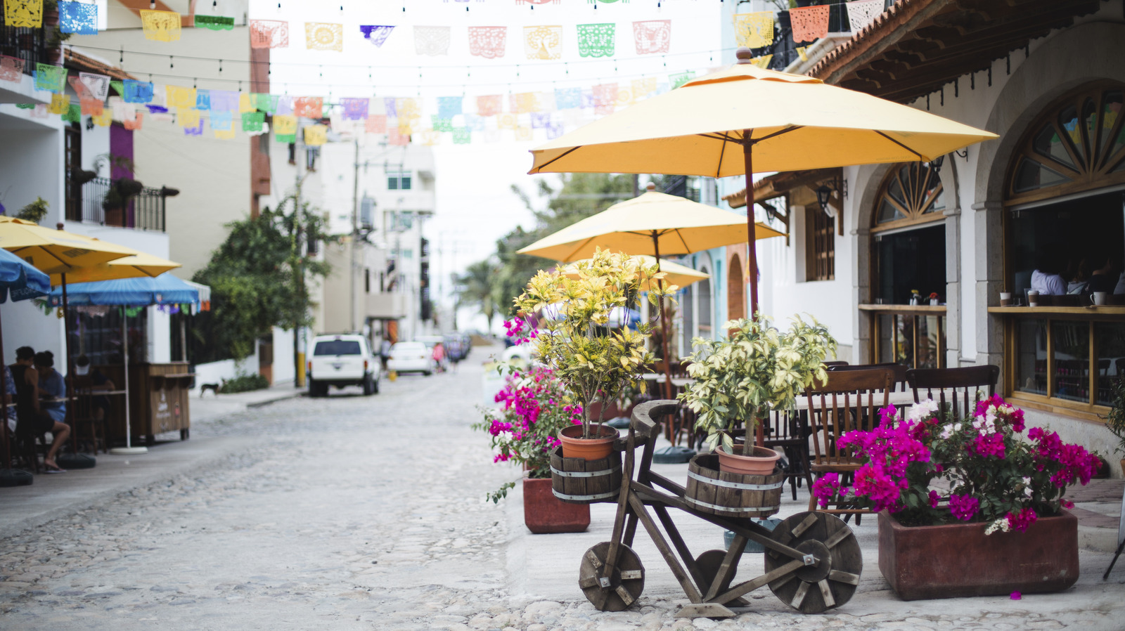 Un Écrin Côtier Éblouissant: Le Secret de Puerto Vallarta