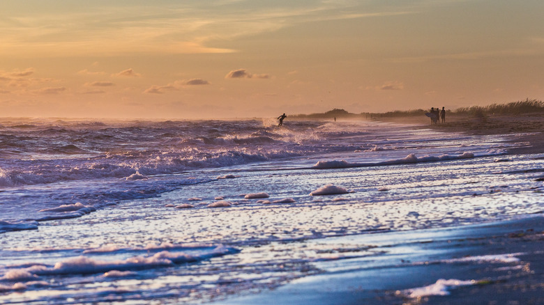 Plage de Don Pedro Island