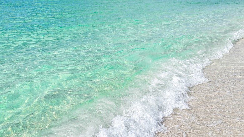 The beach at Clam Pass