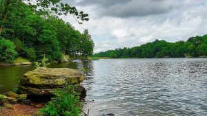 Des Créatures en Bois Géantes à Découvrir dans un Parc du Sud