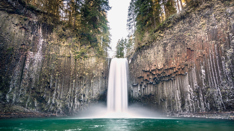 Vue des chutes Abiqua en Oregon