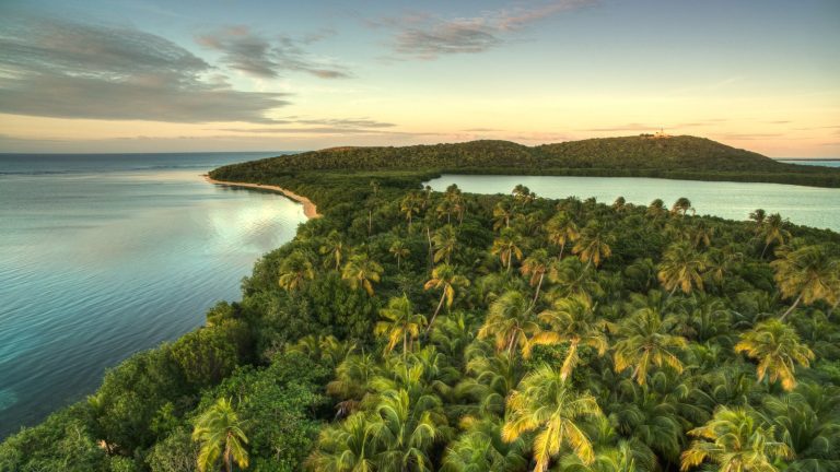 15 astuces essentielles pour voyager à Porto Rico