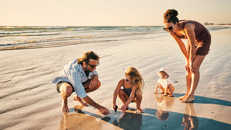 Family looking for seashells on the beach