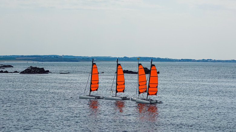 Quatre voiliers en Bretagne