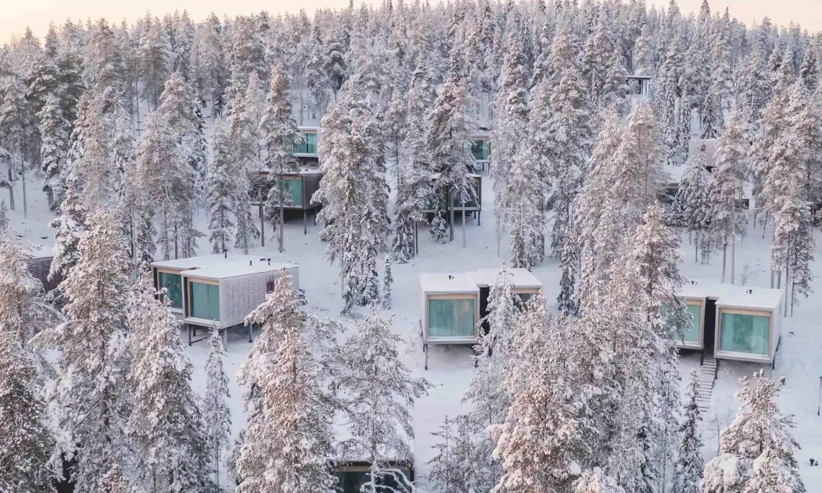 Arctic Treehouse
