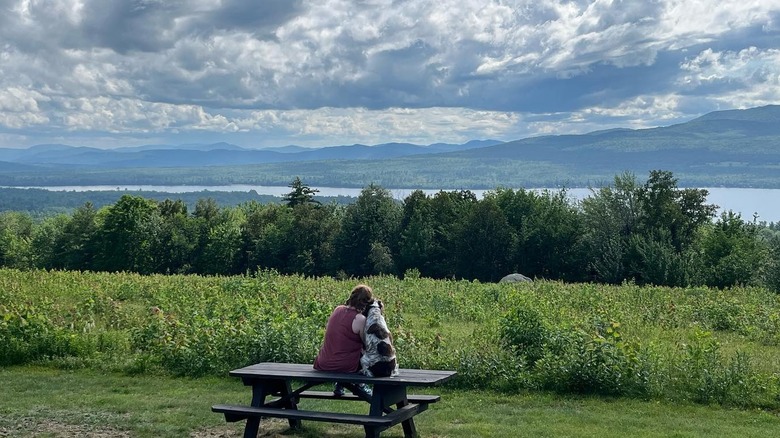 Camping avec chien au Mount Blue State Park